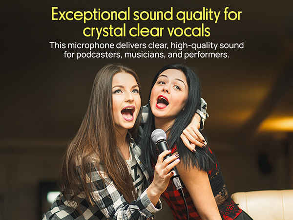 portable pole singing gaming recording usb microfono condensador desk