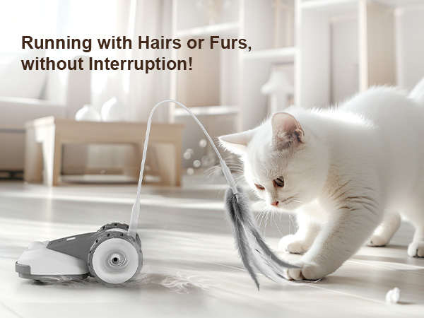 Interactive Cat Toy