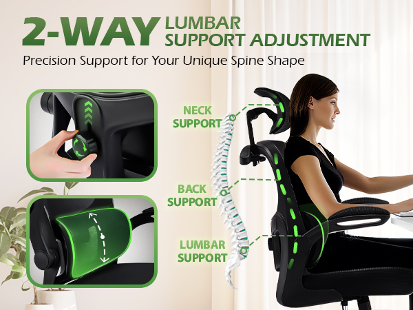 ergonomic office chair