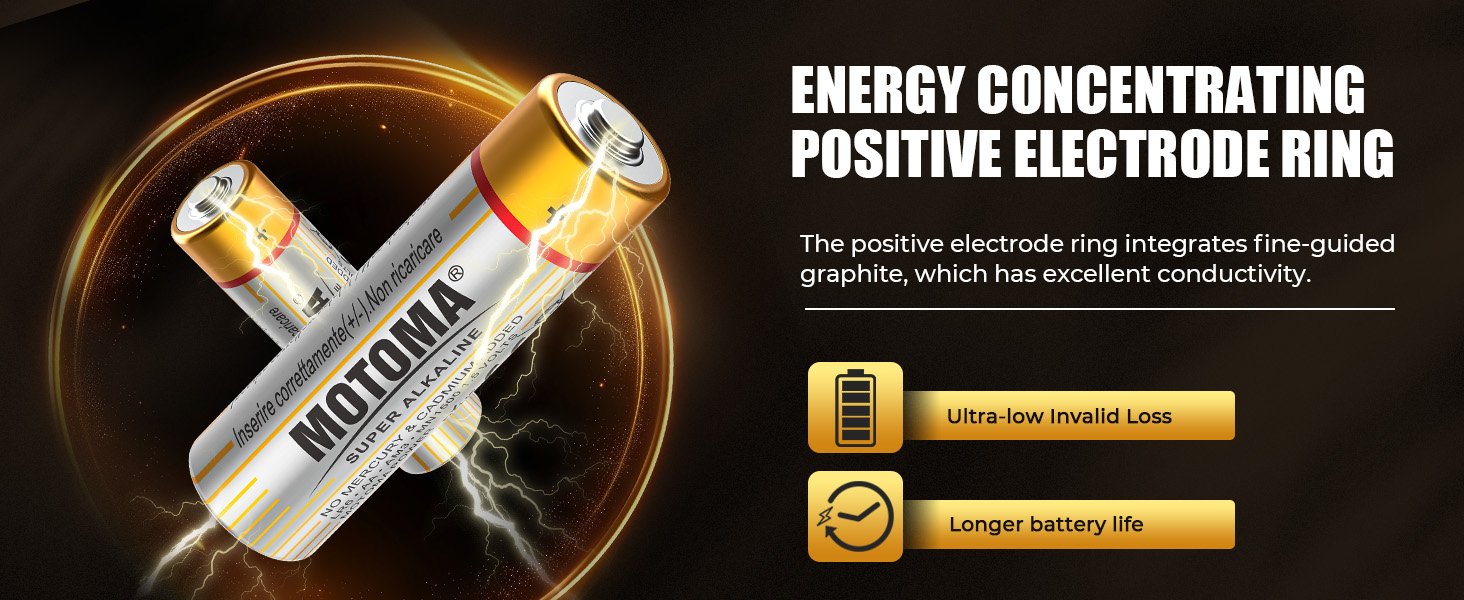 aa alkaline batteries