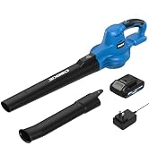 OSEKIE 20V Cordless Leaf Blower Kit with 2.0Ah Battery &amp; Fast Charger, 180MPH 2-Speed Electric Le...