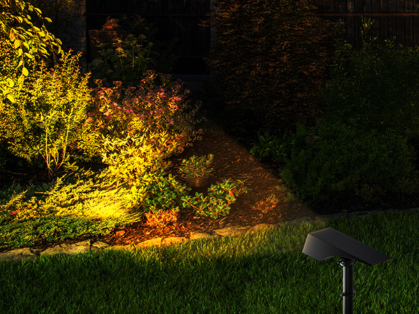 Landscape Lights