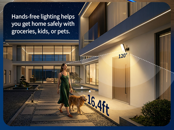 Motion Sensor Outdoor Lights