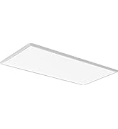 Lithonia Lighting CPANL 2x4 LED Flat Panel Light, 2 ft. by 4 ft. LED Light Panel, Ceiling Lightin...