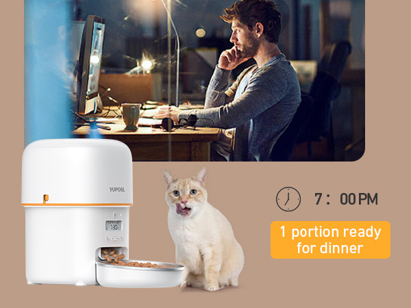 autoamtic cat feeder automatic cat food dispenser pet feeder