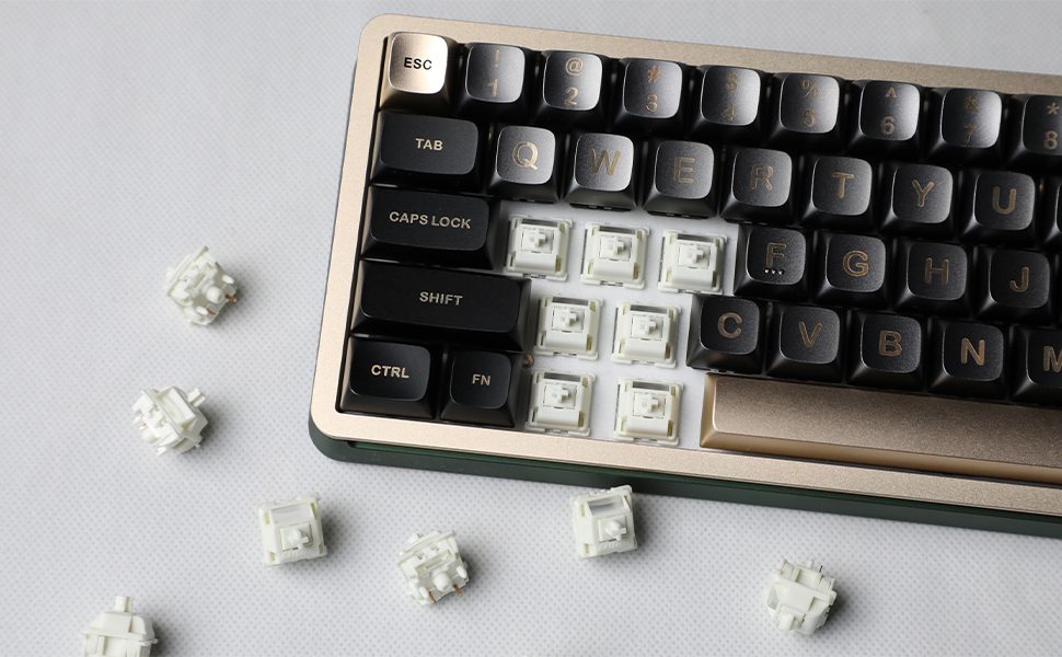 Gateron Smoothie POM Linear Switch
