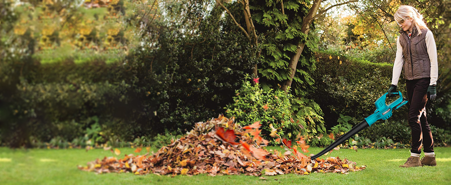 battery blowers leaf cordless