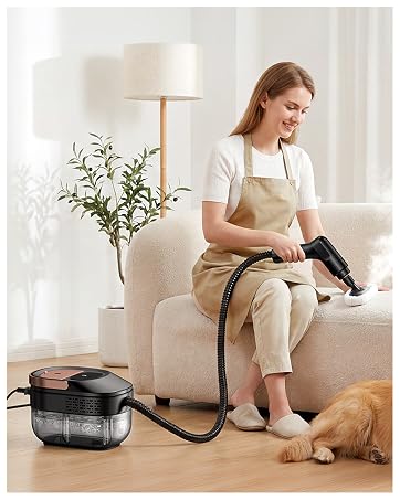 Steam Cleaner