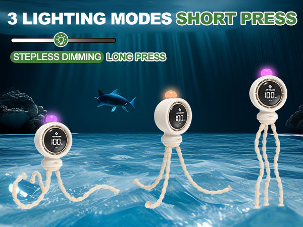 3 Lighting Modes