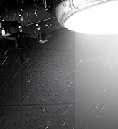 Viugreum 100W 12000LM LED Barn Light,Dusk to Dawn Outdoor Lighting, Garden Light Ip65 Waterproof ...