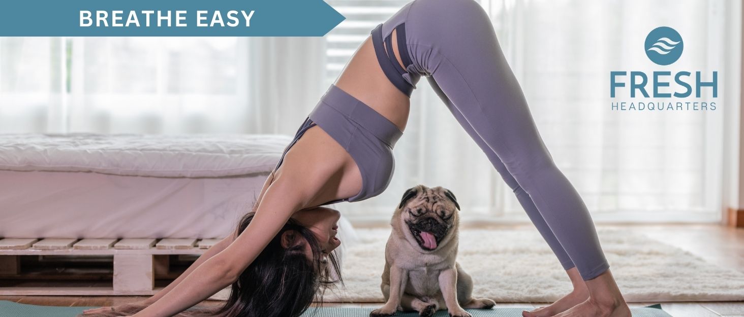 Fresh Headquarters Breathe Easy