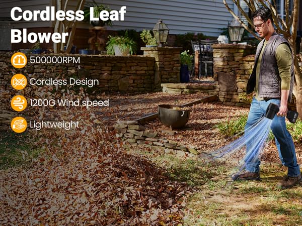 Hand-held Leaf Blower Cordless