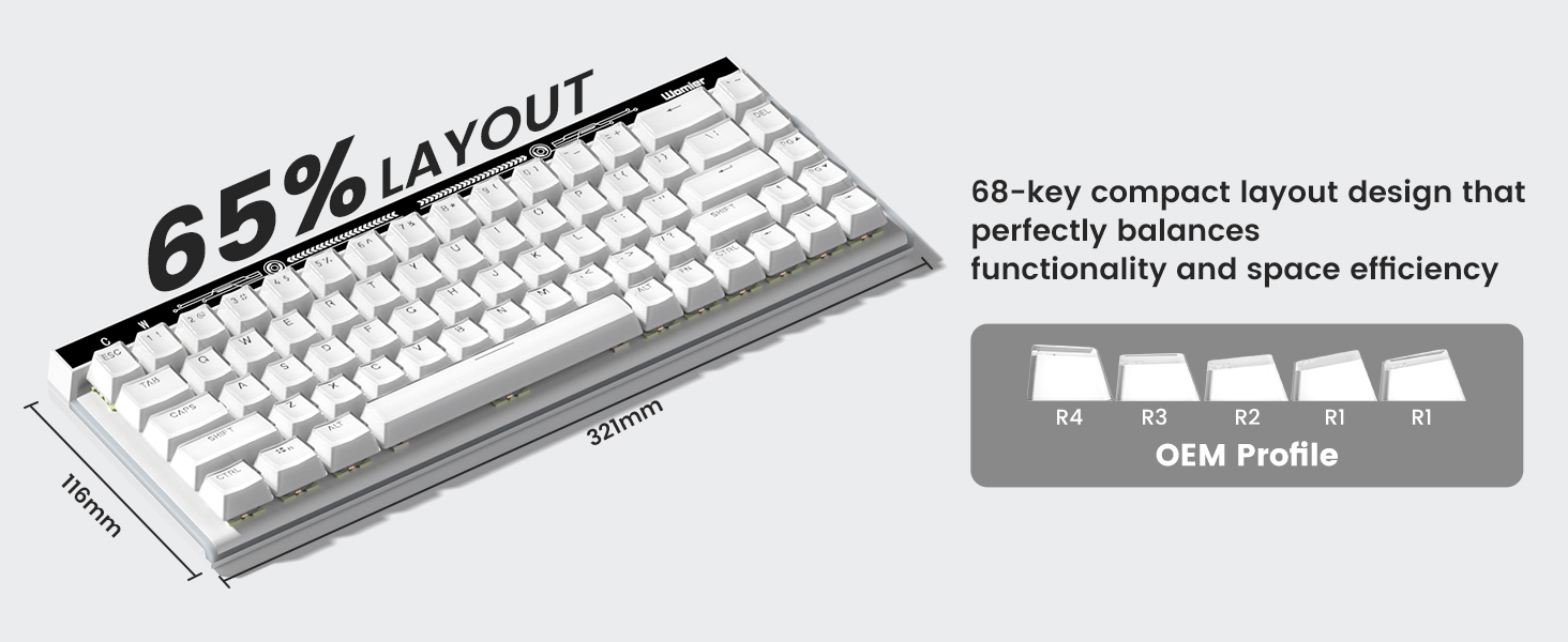 OEM Profile Keycaps