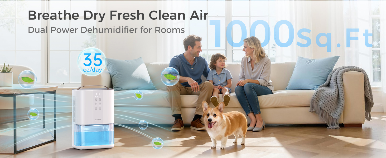 Dehumidifiers for Home