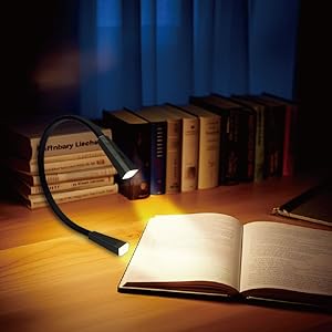 Hanging neck book light