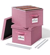 Huolewa Upgraded File Organizer Boxes Set of 2, File Boxes with Lids, Linen Hanging File Organize...