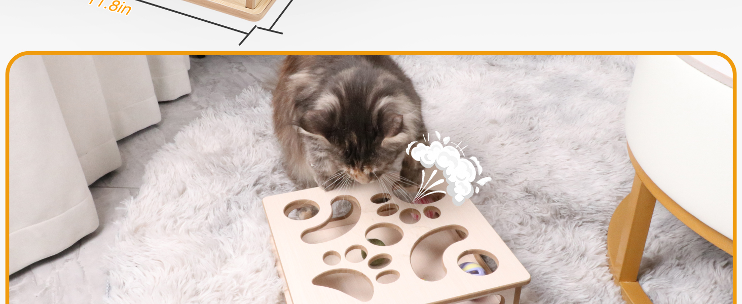 DI BI GRAMAS Cat Interactive Box Puzzle Toy