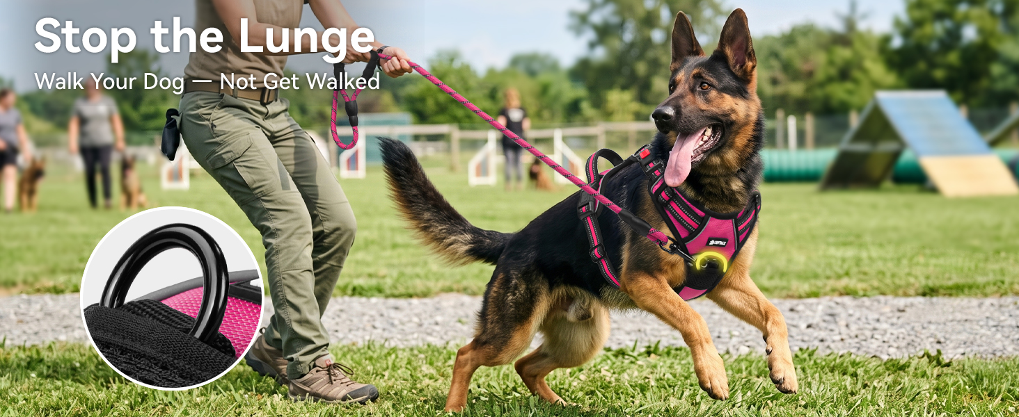 dog harness