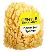 HartFelt Gentle Exfoliation Yellow Sea Sponge 4in | Natural Shower Sponges for Bathing for Men an...