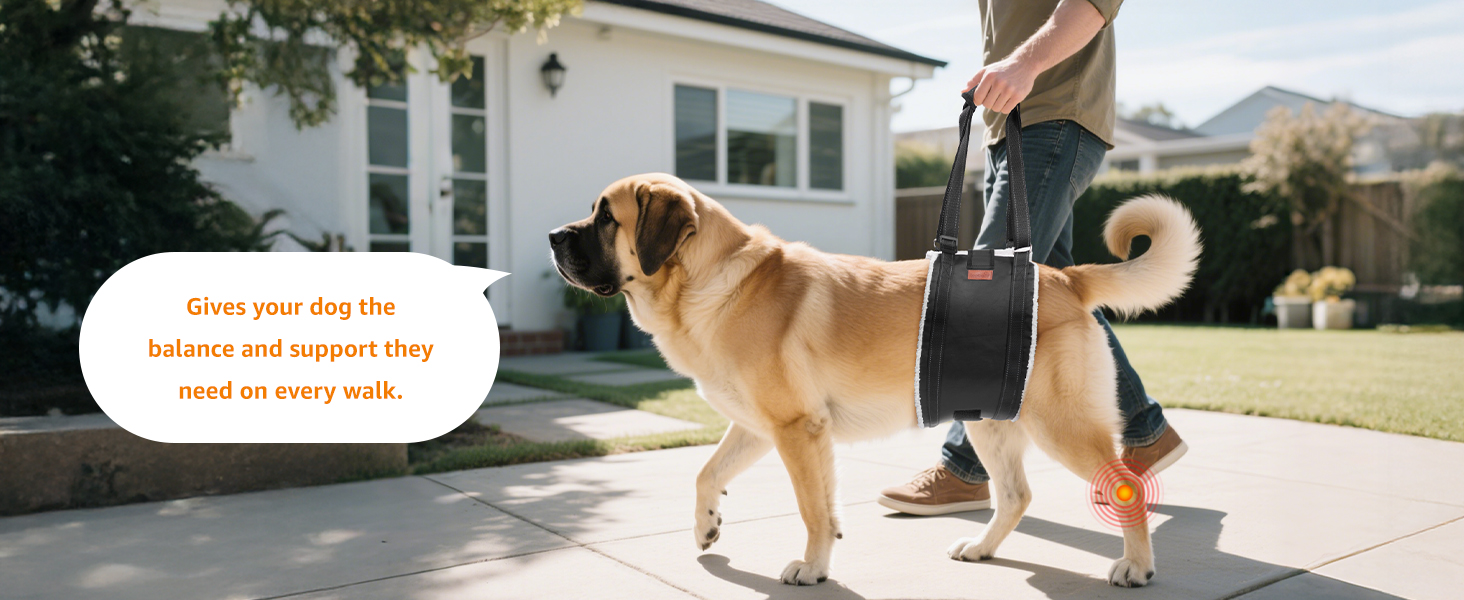 dog lift harness for large dogs
