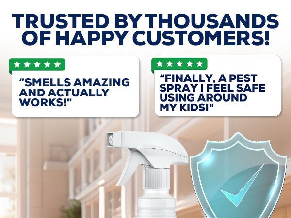peppermint Insect Spray