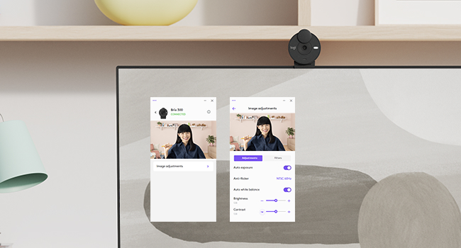 screenshot of logi tune software for brio 301 full hd webcam black