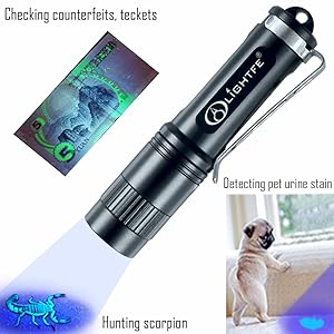 UV Flashlight applications