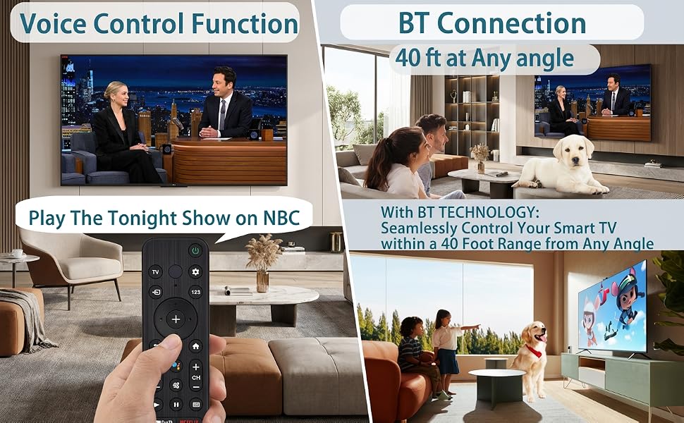 Sony voice control