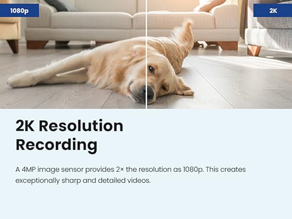 2K Resolution - Mobile