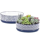 Selamica Ceramic Succulent Pots, Shallow Succulent Planters with Drainage Hole &amp; Saucer, Indoor P...