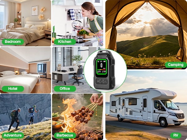 Portable Carbon Monoxide Detector