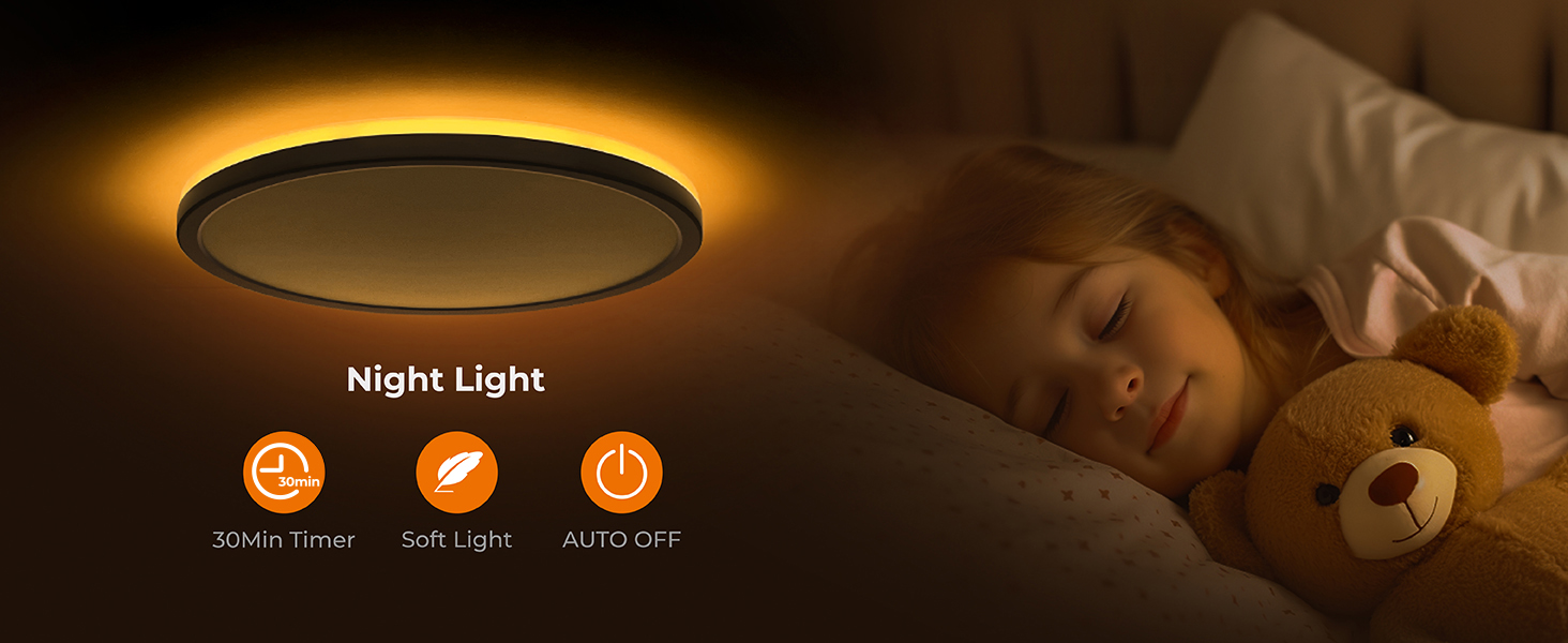 flush mount ceiling light