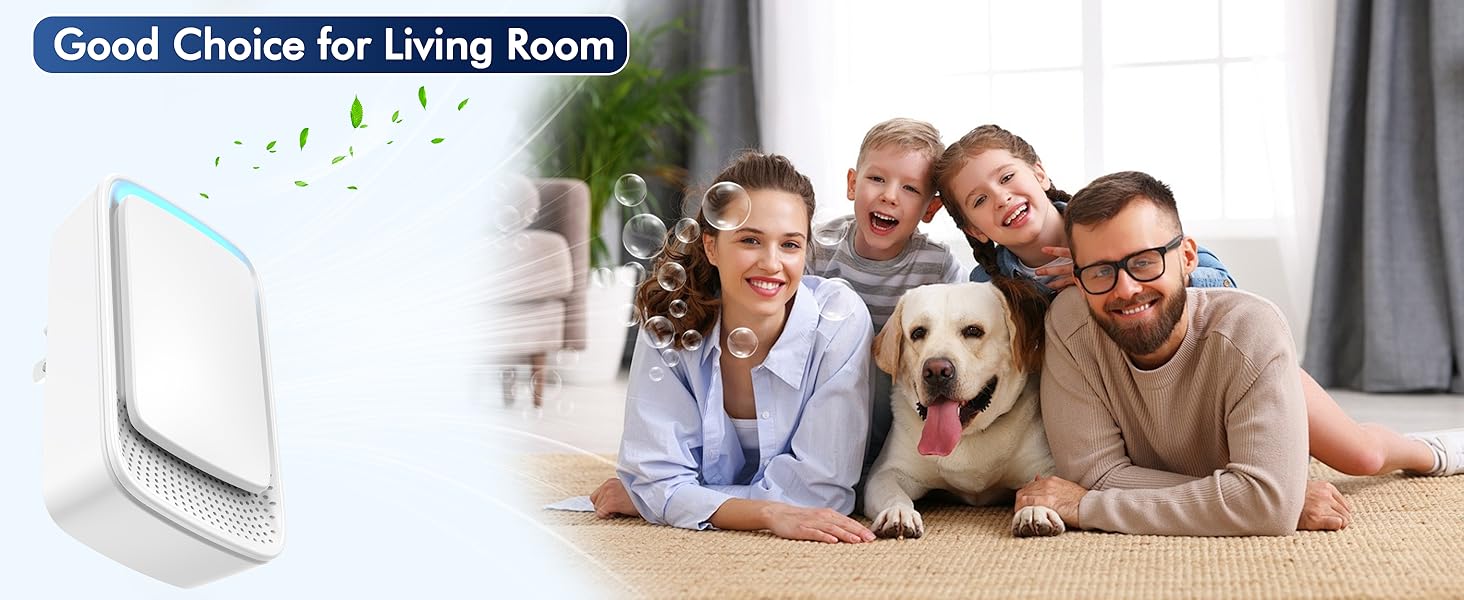 Good Choice for Living Room