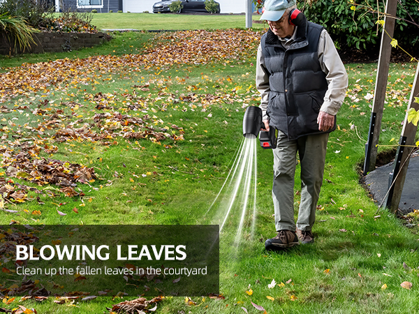 blowers for lawn care