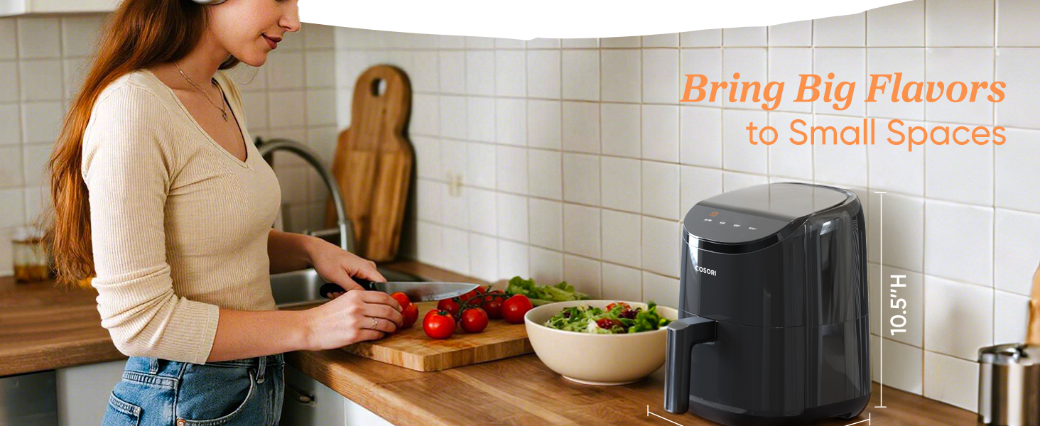 Mini Air Fryer airfryer on sale
