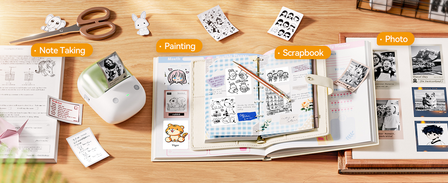 NIIMBOT B2 PRO Portable LABEL MAKER