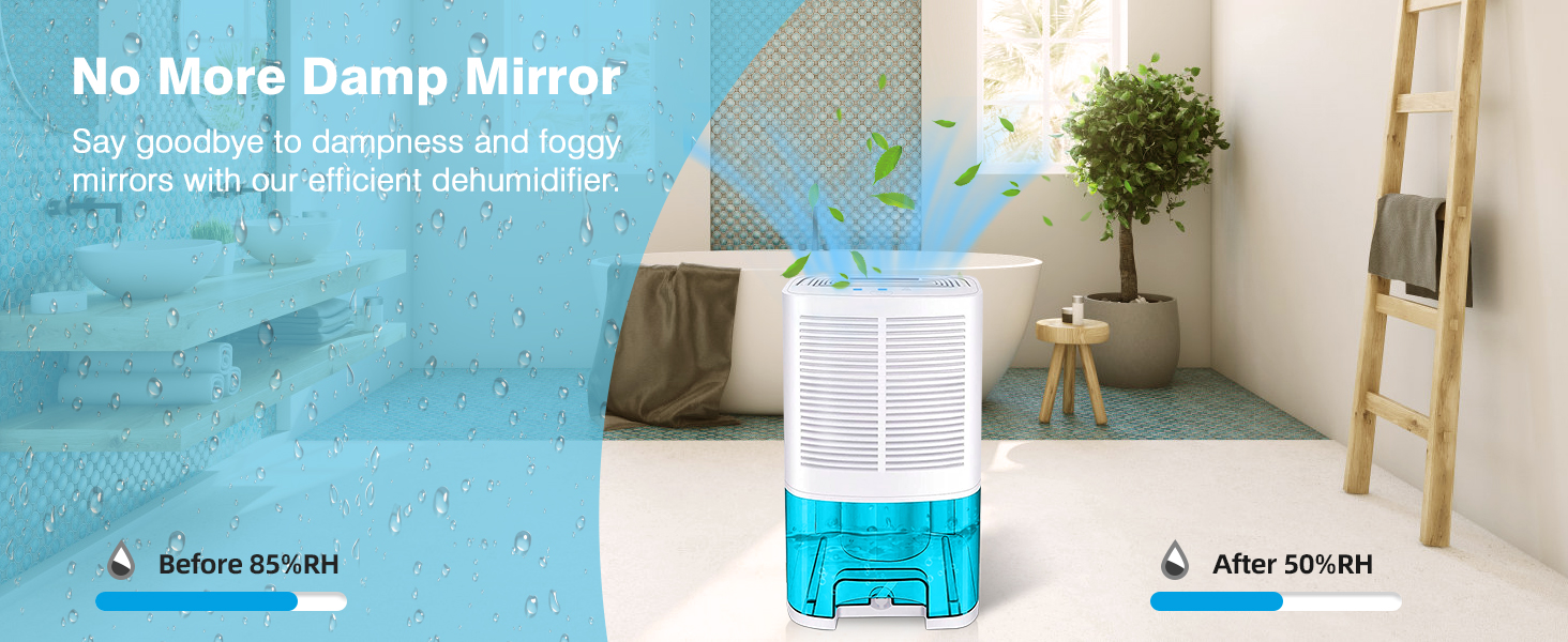 dehumidifier for bathroom