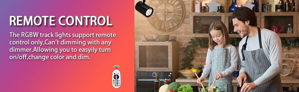 track light heads with remote h track lighting with remote rgb track lighting for halloween