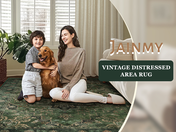 Jainmy vintage distressed area rug