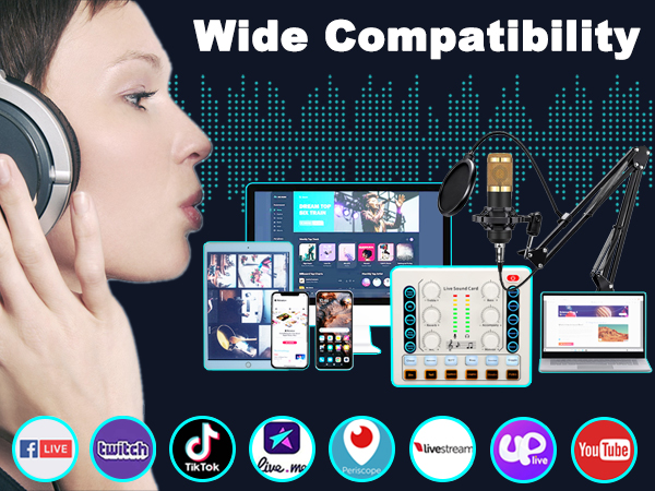 audio interface microphone arm Studio Microphones music studio recording equipment