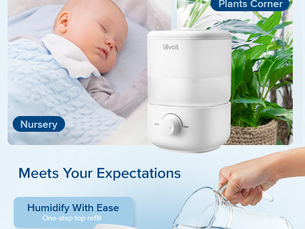 versatile use for every scenario: plants corner, nursery