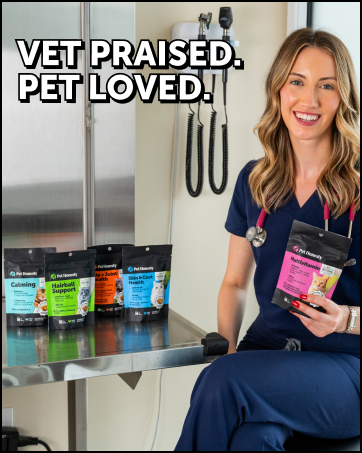 cat supplements
