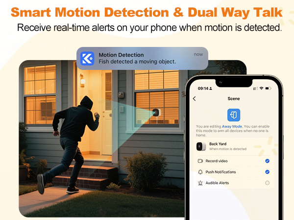 motion detection window camera