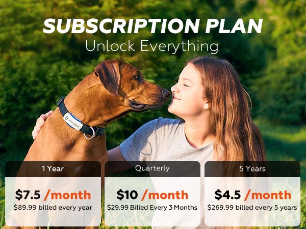 subscription plan