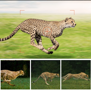 trail camera with night vision