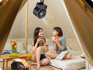 Stroller Fan for beach