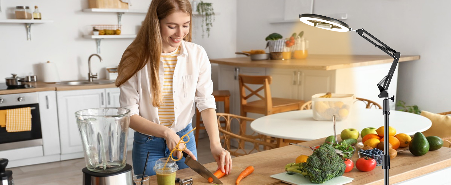 overhead phone mount with light