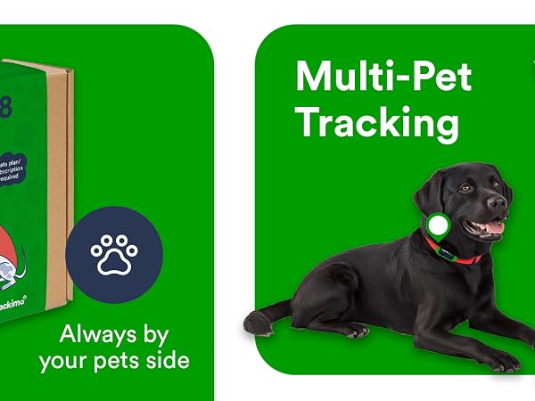 fits existing collar of big pets rechargeable li-ion battery includes sim card