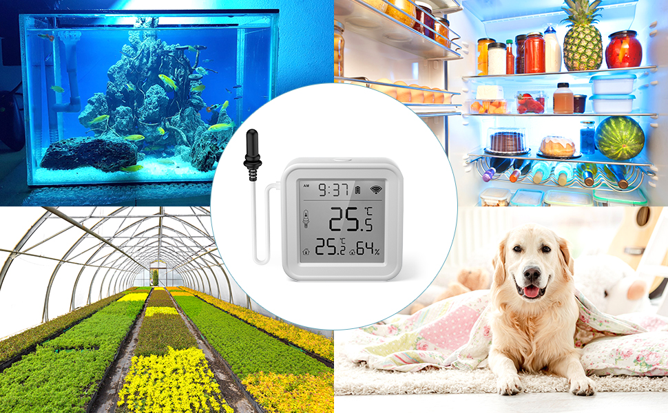 wifi thermometer