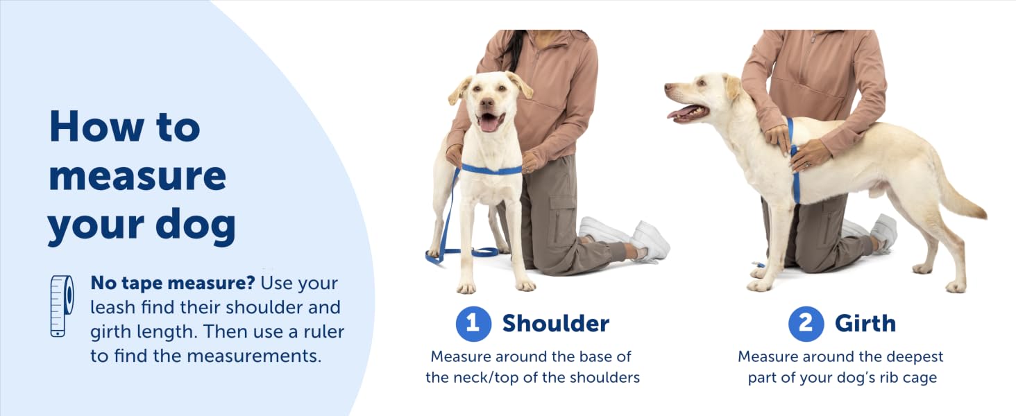 How to measure your dog